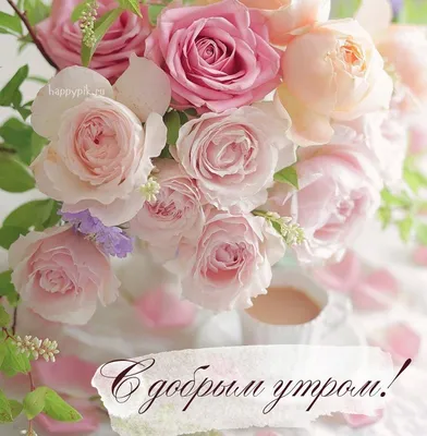 Набор "С добрым утром" - купить цветы с доставкой в Барнауле | Flowersroom