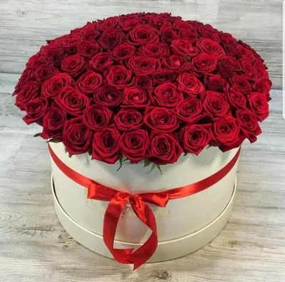 Акция!) 101 красная роза в премиум коробке - Доставкой цветов в Москве!  1663 товаров! Цены от 487 руб. Цветы Тут