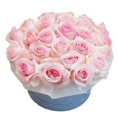 | Розовые розы в черной подарочной коробке "Maison des  Fleurs" - купить в Алматы по лучшей цене с доставкой
