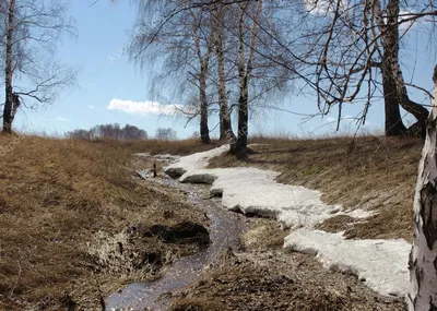 Фрески на стену ручей, цветы, лес, aртикул: 11445 весна 43