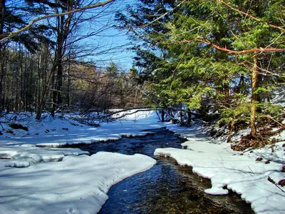 Ручьи весенние,.. и реки | Весна, Природа, Зимние развлечения