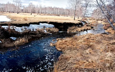 Весна Журчат ручьи - 41 фото