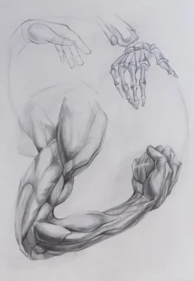 Artkamalov - Кисти рук. Рисунок карандашом. #рисунокснатуры #pencil_drawing  #pencilwork #pencilsketch #скетчкарандашом | Facebook