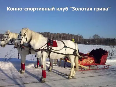 2016! Русская тройка