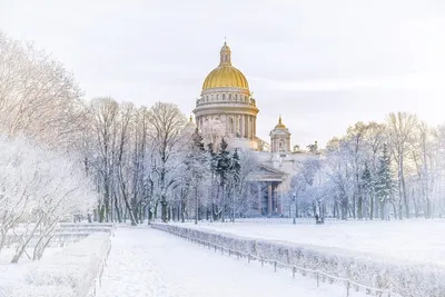 Фотообои Русская зима | Купить в Москве, низкие цены, интернет-магазин  Artpolygraf