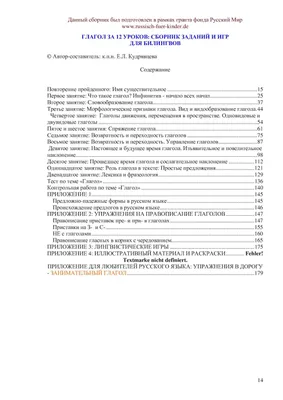 Специфика работы с глаголами движения в турецкой аудитории (на матери