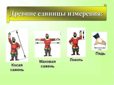 Чем мерили до появления метра. ИНФОГРАФИКА - Мультимедиа - 