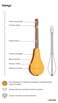 Раскраска музыкальные инструменты. Струнные русские народные инструменты.  Балалайка