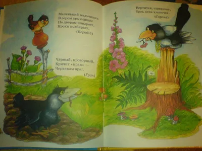 Книга Русские народные загадки А. Нечаев в продаже на , купить книги  загадок для детей по выгодным ценам в Минске. Беларусь