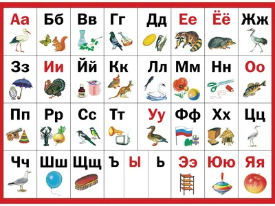 АЛФАВИТ РУССКИЙ. АЗБУКА. БУКВЫ. Карточки для детей РУЗ Ко 9828909 купить за  264 ₽ в интернет-магазине Wildberries