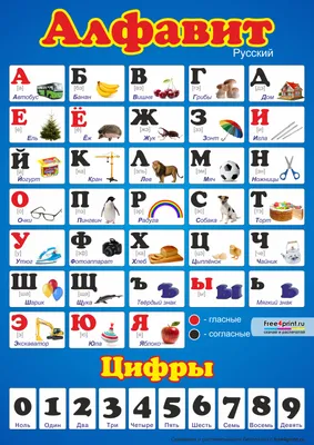 ЮВЕНТА - Раскрашивай и учись. Русский алфавит для детей от 2 лет