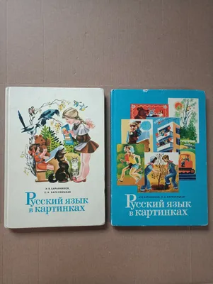 Русский язык в картинках Баранников 1985 Russian language Russkiy yazyk HC  Illus | eBay