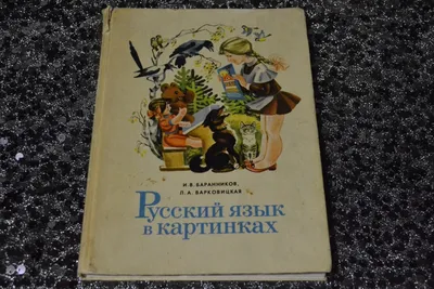 Русский язык в картинках" И.В.Баранников, Л.А.Варковицкая: 150 грн. - Книги  / журналы Харьков на Olx