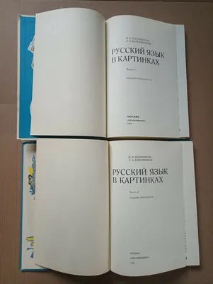 Баранников И. В., Варковицкая Л. А. Русский язык в картинках, 1982