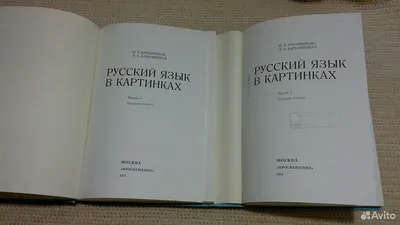  - Автор книги: баранников. Название: русский язык картинках