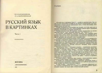 Баранников, И.В., Варковицкая, Л.А. Русский язык в картинках. Ч. 2. М.: ...  | Аукционы | Аукционный дом «Литфонд»