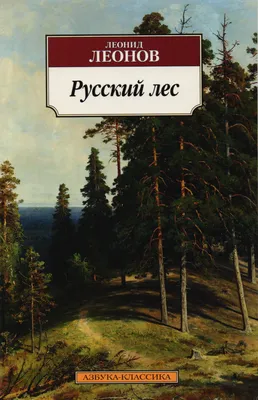 Санаторий «Русский лес» официальный сайт Владимирская область