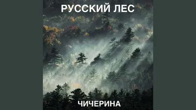 РУССКИЙ ЛЕС ОТ ПЕРЕРУБА ДО НЕДОРУБА: КТО ОТВЕТИТ ЗА ЛЕСНУЮ СТРАТЕГИЮ? —  "Президент" Общественно-политическая газета