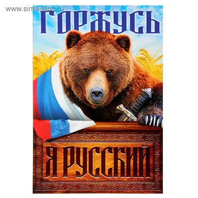 Русский медведь картинки - 75 фото
