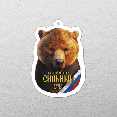 Русский медведь. Загадка имени и восприятия | 11 ЭКЮ | Дзен