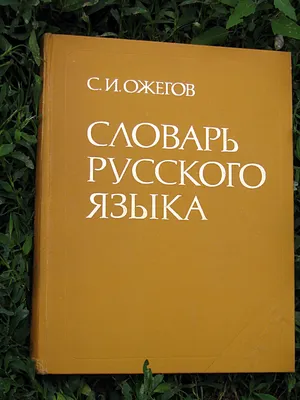 Русский словарь 63 картинки