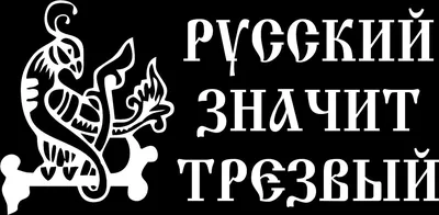 Пробежка 1 января в Воронеже — «Русский — значит трезвый» Правые Новости