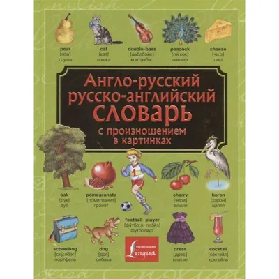 Книга "Англо-русский. Русско-английский словарь. 250000 слов" Мюллер В.К -  купить в Германии | 