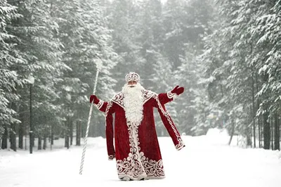 Развеиваем мифы: Дед Мороз - синий, красный или зелёный | Дмитрий Март: мои  статьи и видео | Дзен