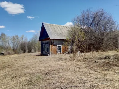 Причины исчезновения русской деревни в XX веке | Родная Вятка