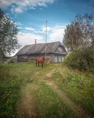 Романтика русской деревни» — создано в Шедевруме