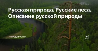 Иллюстрация 9 из 40 для Времена года в картинах русской природы. Есенин С.А  - Сергей Есенин