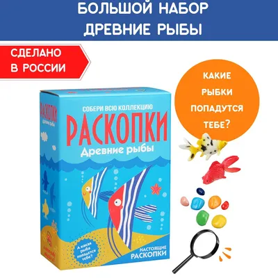 Рыбы ? фото с названиями для детей для дошкольного обучения