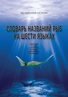 Изучение английского алфавита. Карта с буквой F и иллюстрации рыбы  Иллюстрация штока - иллюстрации насчитывающей детство, карточка: 197332447