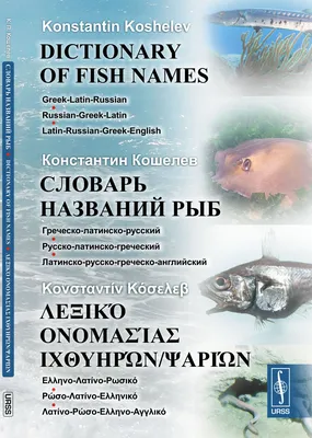 Let's go fishing! Инфографика: виды рыб на английском