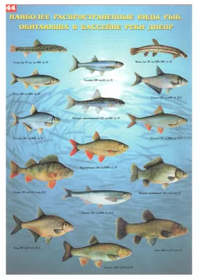 JBL корм для рыб НовоТаб 100мл таблетки 3023010
