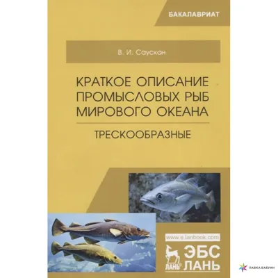 Купить пластиковую переноску-террариум для рыб и грызунов Geo Small от  Ferplast с доставкой по СПб