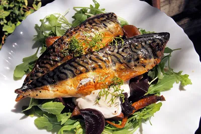 Жареная рыба с овощами на белой тарелке :: Стоковая фотография ::  Pixel-Shot Studio