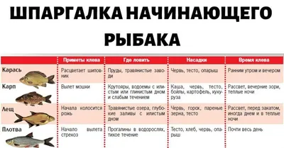 Советы рыбаков. Чтобы осенний сезон прошел удачно, нужно знать повадки рыбы  - Новости Тюменского муниципального района