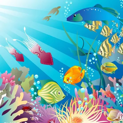 Рыбки в аквариуме - красивые картинки (100 фото) • Прикольные картинки и  позитив