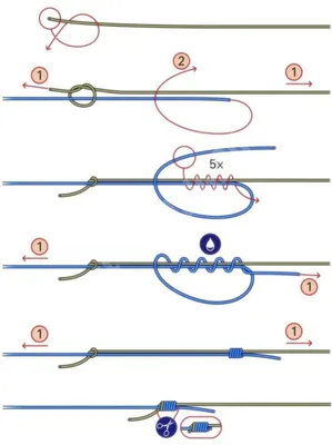 10 основных рыболовных узлов для фидера, карповой ловли, поплавка и  спиннинга | Рыболовный мир | Дзен