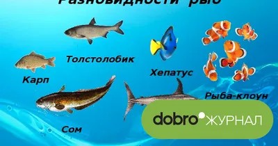 Рыба в морской воде брызги , …» — создано в Шедевруме