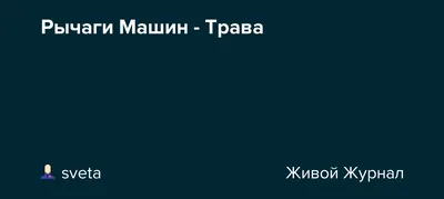 Конструктор образовательный "Изучение основ машин: Рычаги и ролики"