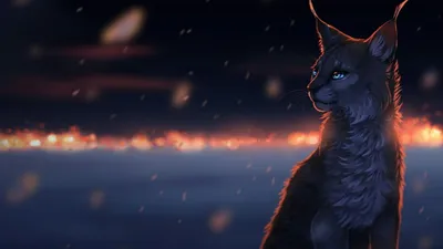 Рысь арт зима | Warrior cats, Warrior cats art, Cat art