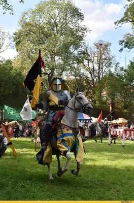 Рыцарь-крестоносец на коне 3D модель - Скачать Персонажи на 