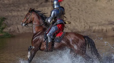 Рыцарь на чёрном коне, высокое …» — создано в Шедевруме