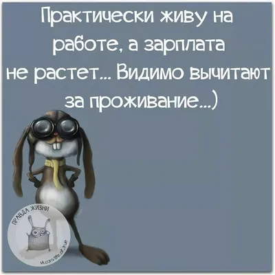 Поржать до слез: приколы про работу в картинках с надписями | Екабу.ру -  развлекательный портал