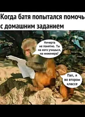 Ржачные про школу картинки