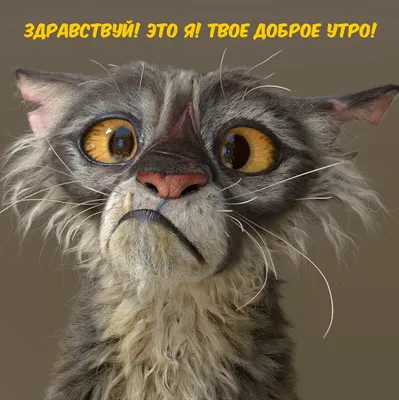 С добрым) #кофе #утро | Доброе утро, Смешные открытки, Открытки