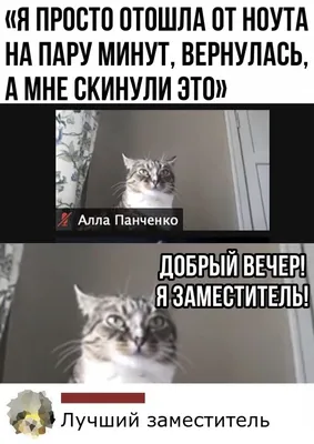 Mr. Pasha | #Дзен #Юмор #Смех #Приколы #Мем #Мемы #Meme #Мemes #Ржака #Угар  | Дзен