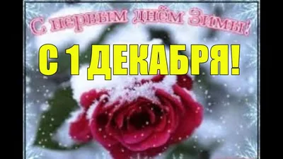 Картинки с надписями. С 1 декабря! Поздравляю!.